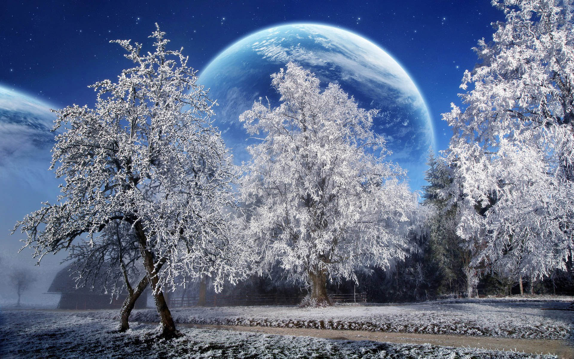 Красивые зимние картинки Изображения – скачать бесплатно на Freepik