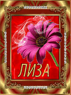  35 BipBap ru
