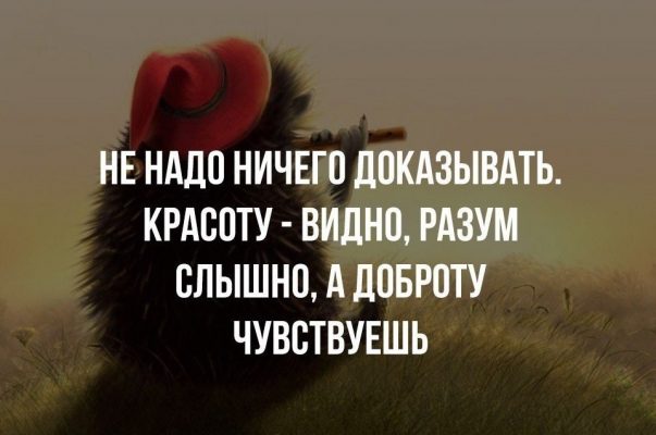 Новые прикольные статусы в картинках