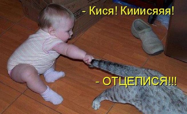 Подставить лицо в картинку онлайн бесплатно приколы