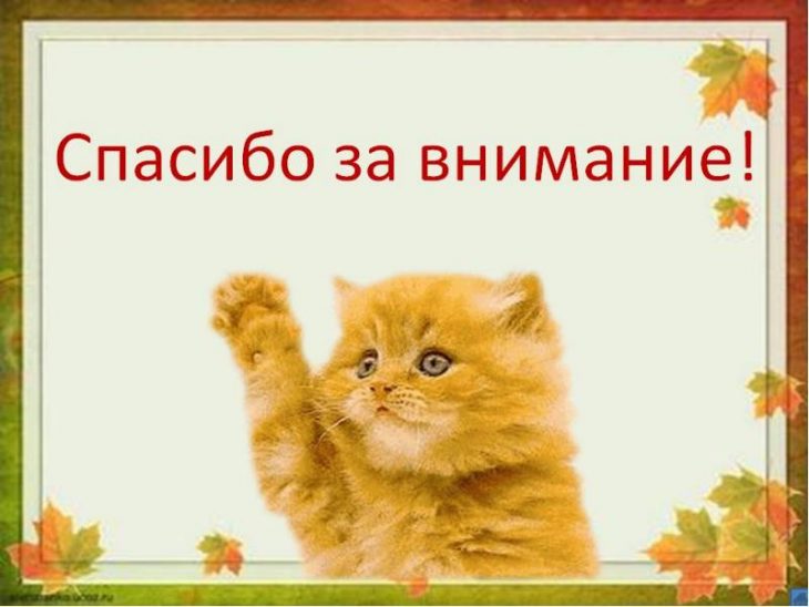 Спасибо за внимание на белорусском для презентации