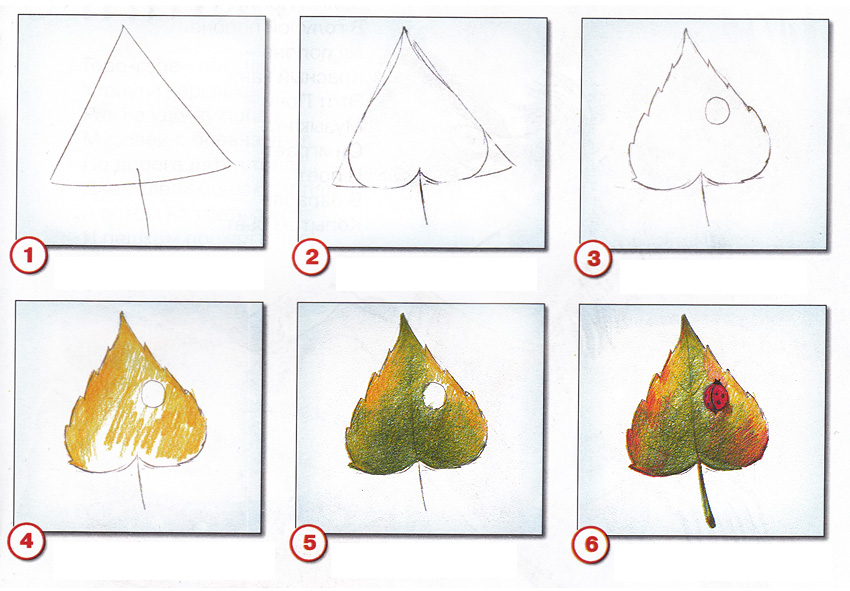 Как рисовать осенние листья