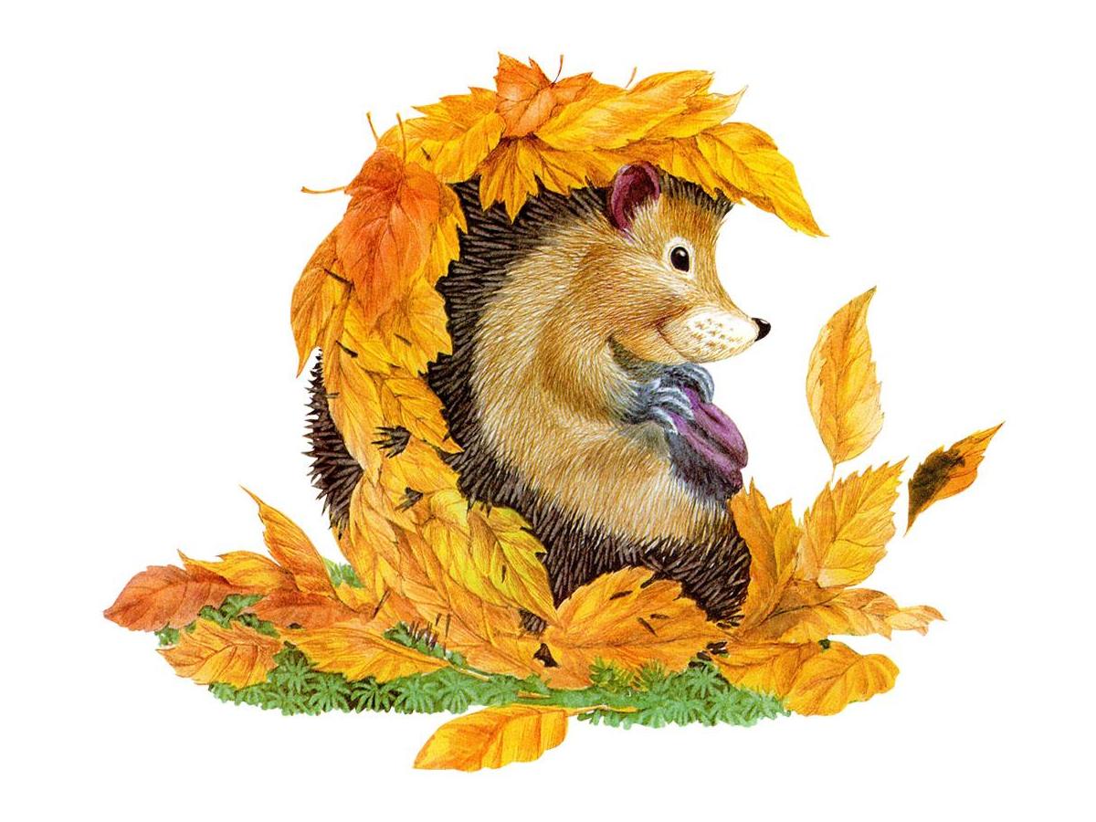 Осенние животные рисунки для детей