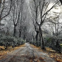 ΠΠ°ΡΡΠΈΠ½ΠΊΠΈ ΠΎΡΠ΅Π½Π½ΡΡ ΠΏΠΎΠ³ΠΎΠ΄Π° (33 ΡΠΎΡΠΎ)