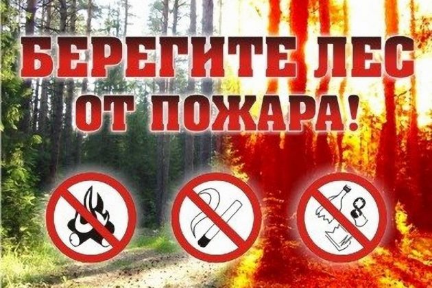 Картинки берегите лес от пожара для детей