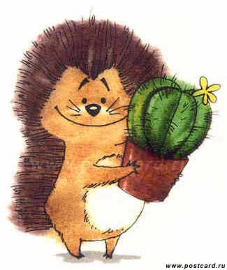 hedgehog-birthday-card.jpg