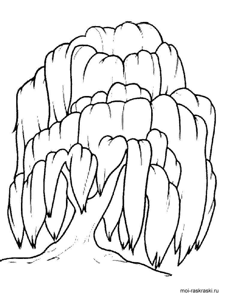 Ива рисунок для детей