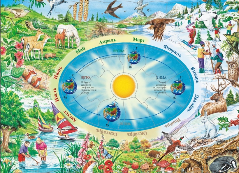 Картинки смена времен года (14 фото) ?? BipBap.ru
