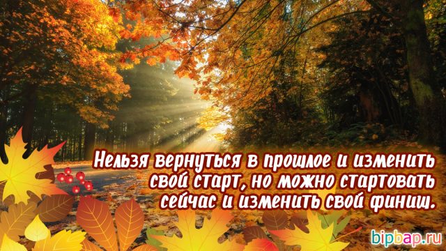 Мудрость в жизни в том что для каждого из нас есть не только один человек