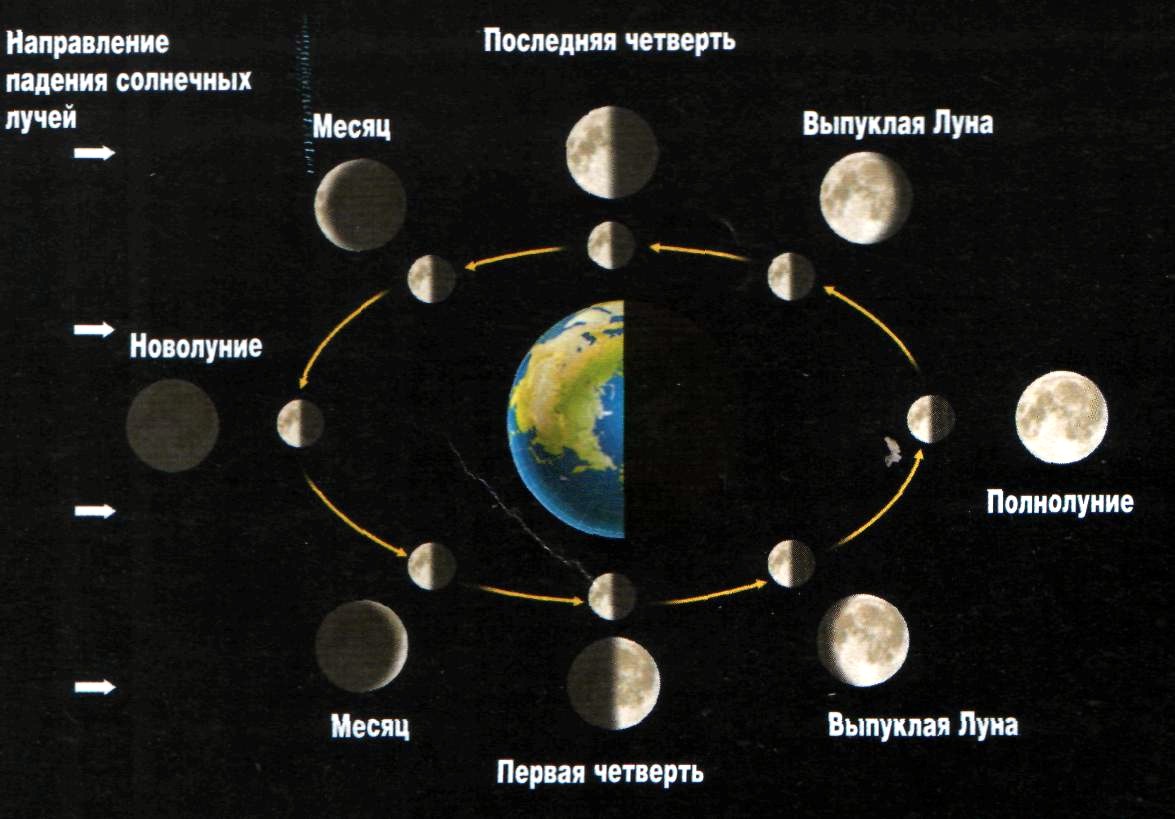 Почему меняется месяца. Положение Луны относительно земли и солнца. Схема смены фаз Луны. Полнолуние схема расположения земли Луны. Фазы Луны относительно земли, Луны и солнца.
