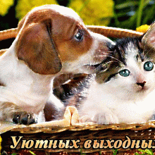 Π‘ΠΌΠ΅ΡΠ½ΡΠ΅ ΠΊΠ°ΡΡΠΈΠ½ΠΊΠΈ ΠΏΡΠΎ Π²ΡΡ
ΠΎΠ΄Π½ΡΠ΅ (30 ΡΠΎΡΠΎ)