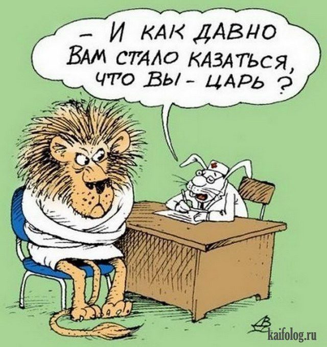 Фото Прикольных Карикатур