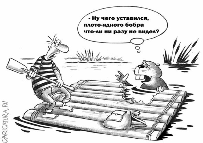 Муж на диване карикатура