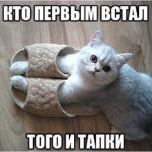 ΠΠΎΠ²ΡΠ΅ ΡΠΌΠ΅ΡΠ½ΡΠ΅ ΠΊΠ°ΡΡΠΈΠ½ΠΊΠΈ Ρ Π½Π°Π΄ΠΏΠΈΡΡΠΌΠΈ (35 ΡΠΎΡΠΎ)
