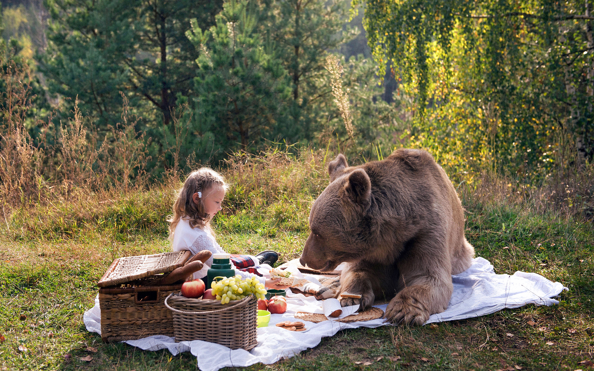 Картинки природа животные люди