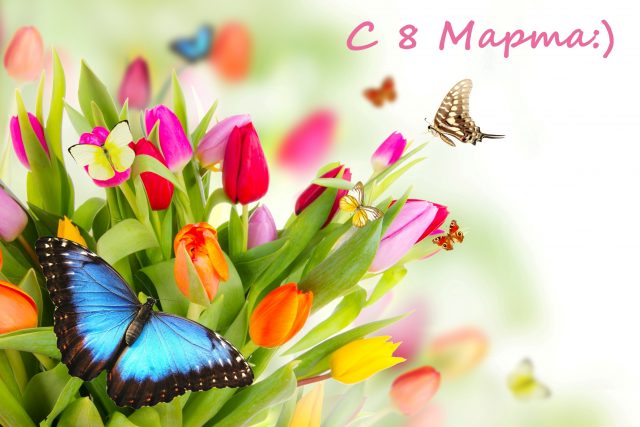 Открытка к 8 марта, с тюльпанами и бабочкой