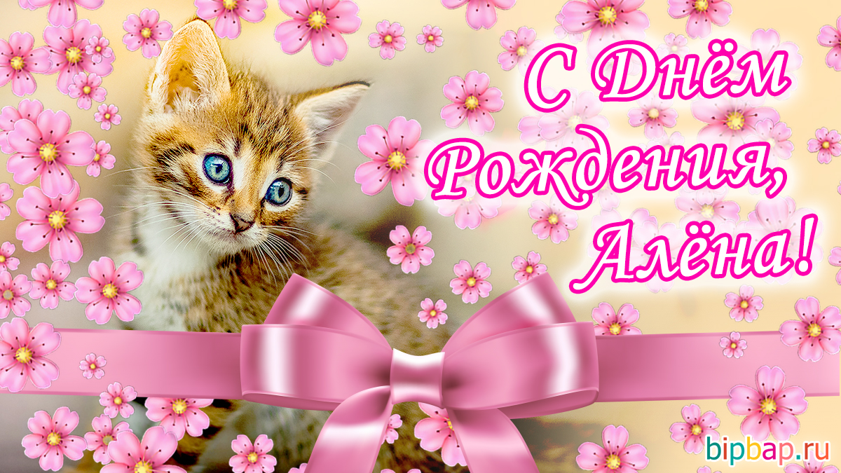 С днем рождения алена поздравления своими словами. Поздравления с днём рождения Алёне. Красивые открытки с днем рождения с котиками.