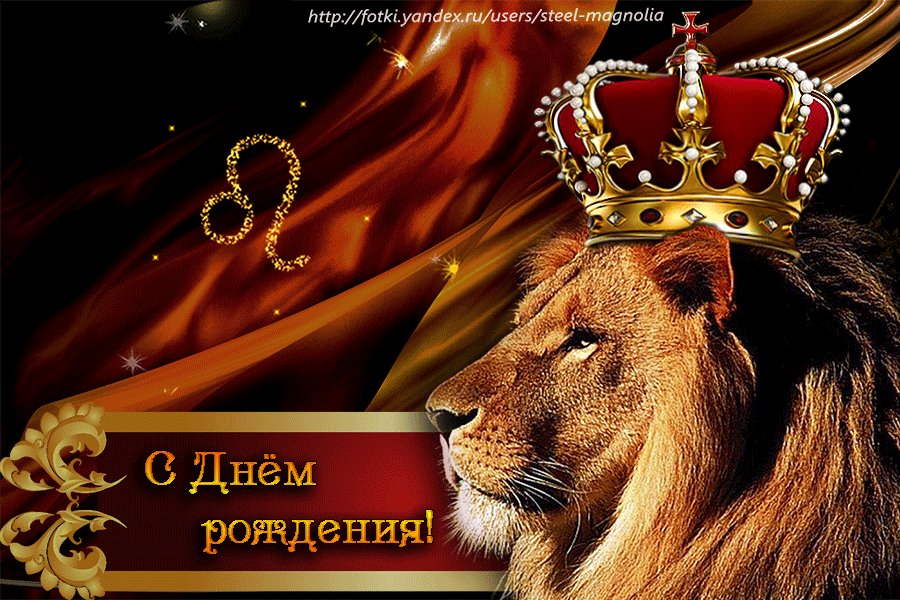 Поздравление с днем рождения леве. С днем рождения Лев. Поздравление Льва с днем рождения. Открытка с днём рождения мужчине со львом. Поздравления с днём рождения мужчине льву.