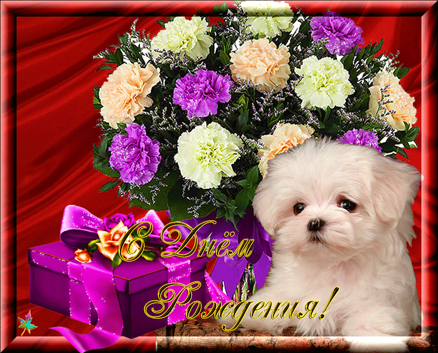 Поздравительные виде. Открытка с днём рождения с собачкой. С днем рождения собака с цветами. Красивые фото с днем рождения. Музыкальное поздравление с днем рождения.