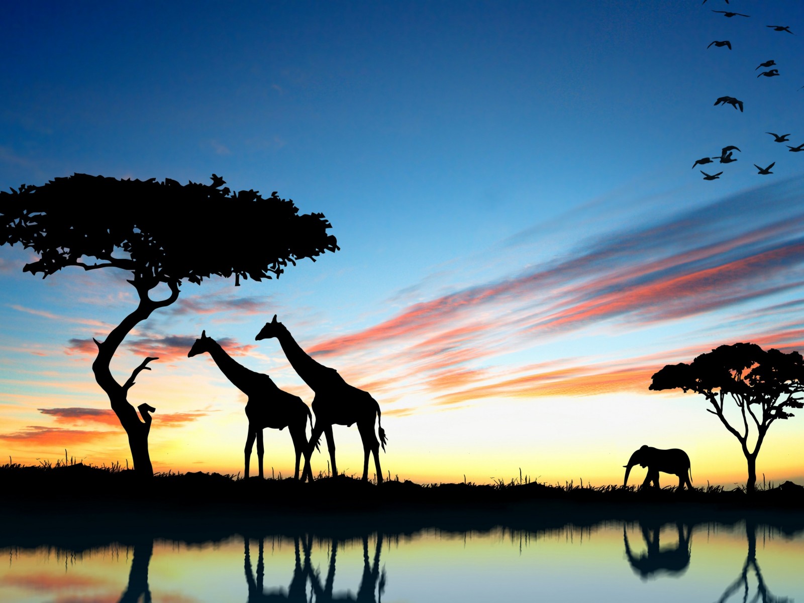 Животные африки картинки на белом фоне
