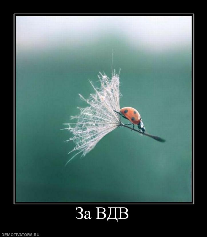 Картинки "За ВДВ!" (21 фото) 🔥 BipBap.ru