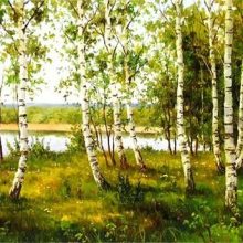 Картинки березы летом в хорошем качестве (25 фото)