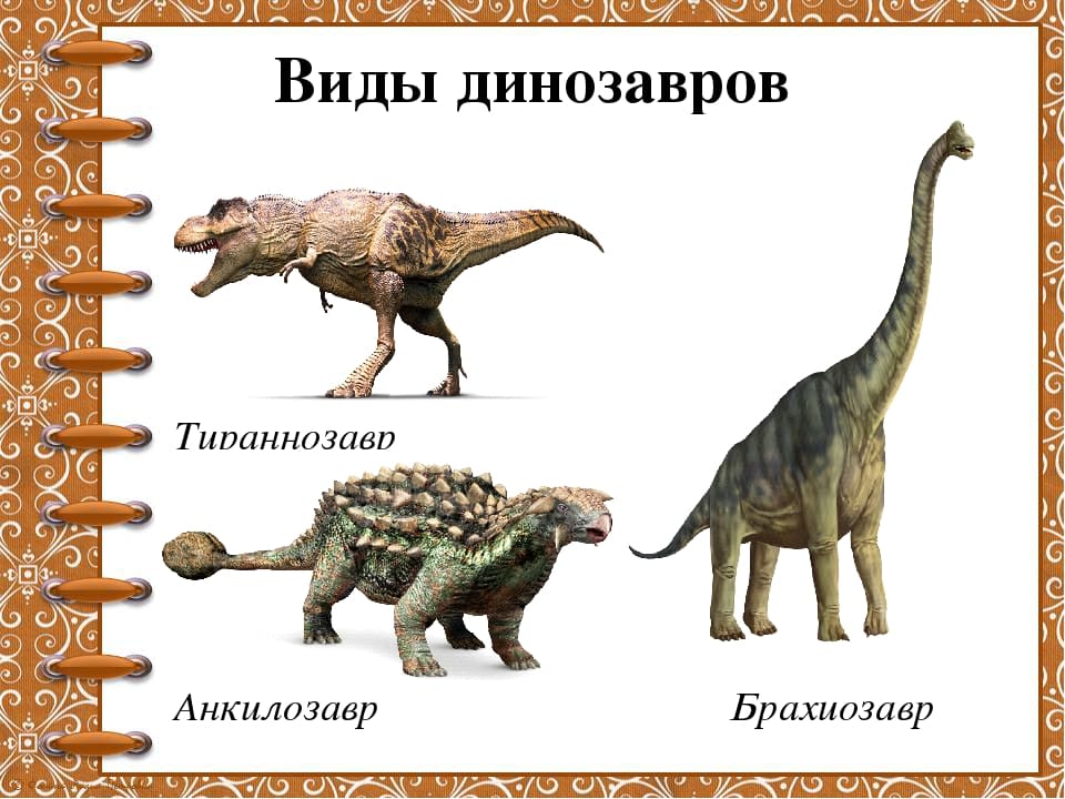 Динозавры – виды, список с изображениями, названия, описание, когда жили, где обитали, видео