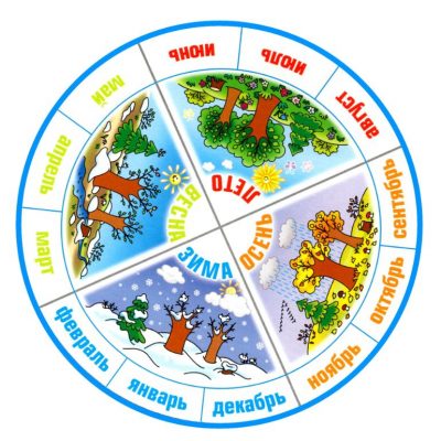 Времена года в круге картинка