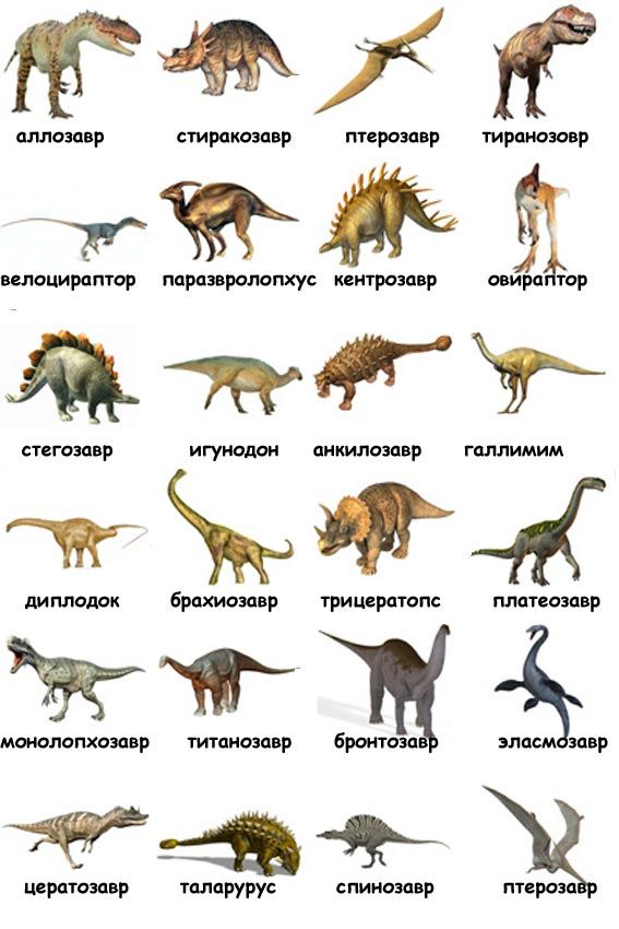 Их Фото Динозавров