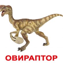 Картинки виды динозавров с названиями (28 фото)