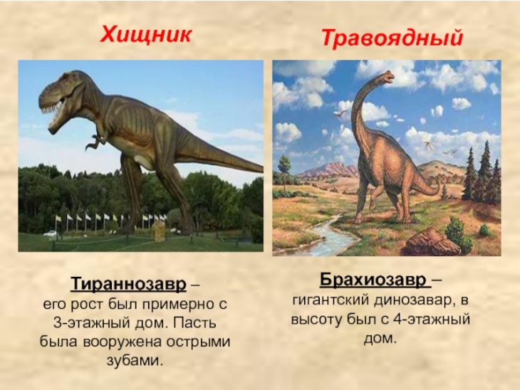 Динозавры виды и названия с фото на русском