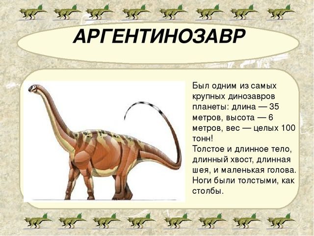 Опиши динозавра. Динозавры названия. Аргентинозавр. Динозавры картинки с названиями. Динозавры картинки с описанием.
