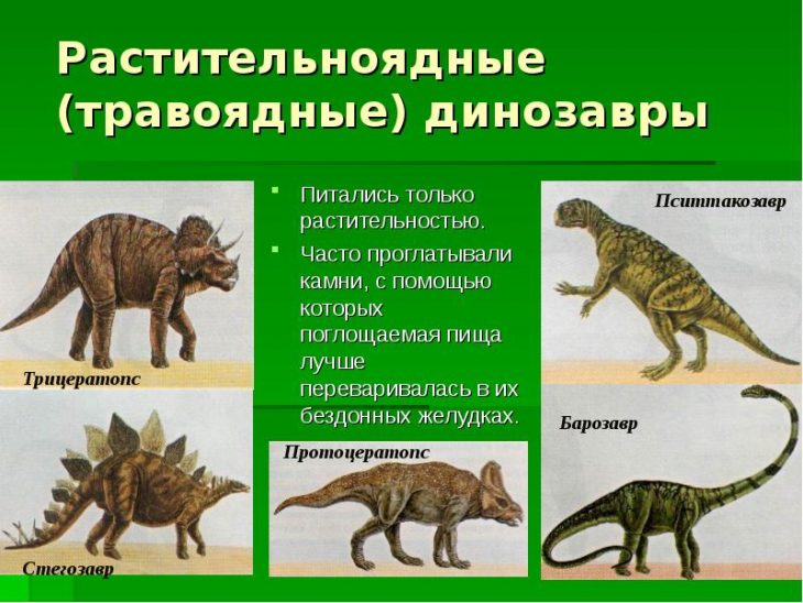 Какие были динозавры названия и фото для детей