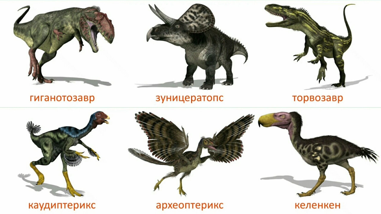 Виды динозавров в картинках