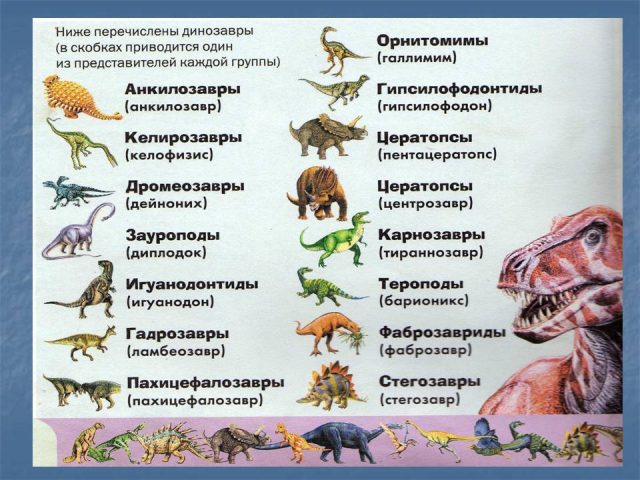 Картинки виды динозавров с названиями (58 фото)