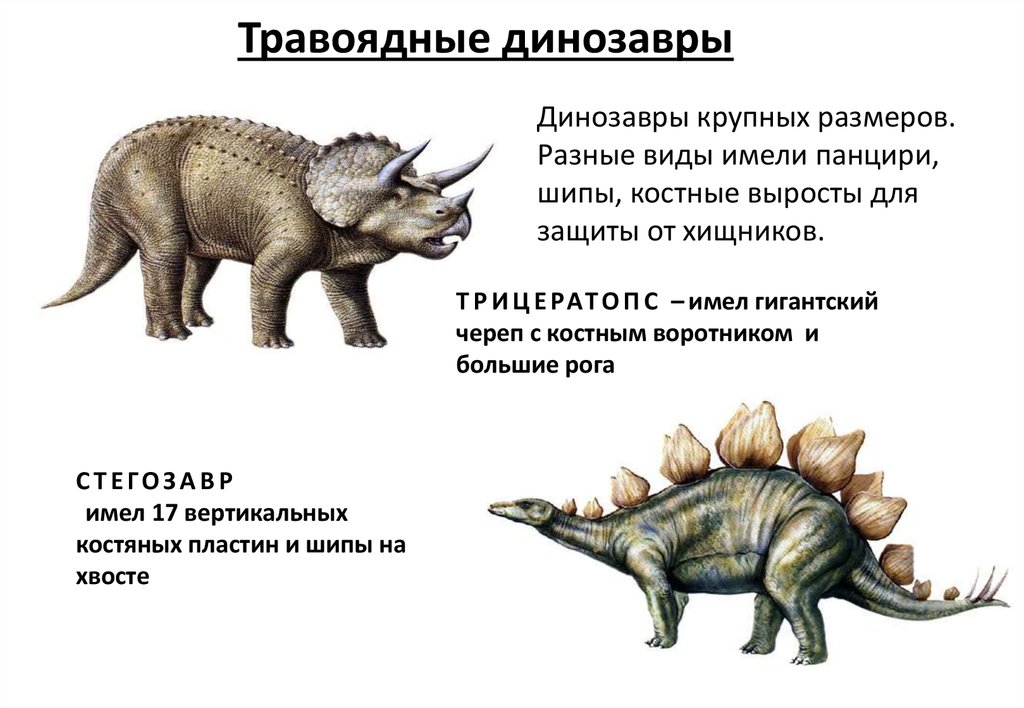Нептичьи динозавры виды. Травоядные динозавры названия. Виды травоядных динозавров с названиями. Травоядные динозавры описание. Хищные и травоядные динозавры названия.