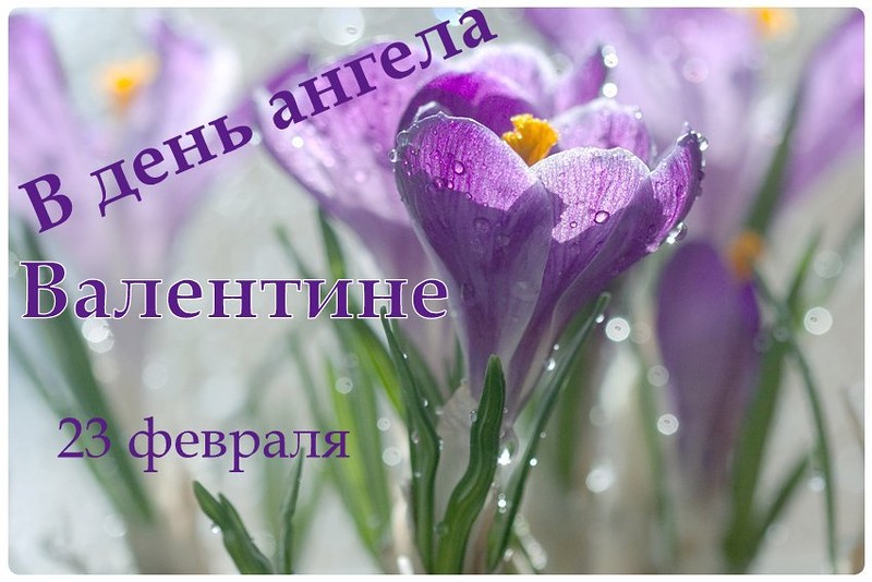 ��������� � ��������� ��������