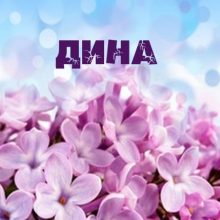 Картинки Именины Дины (11 фото)