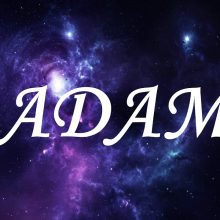 Картинки Именины Адама (11 Фото)