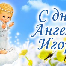 Картинки Именины Игоря (14 фото)