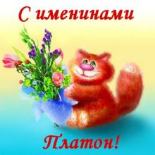 Картинки Именины Платона (9 фото)