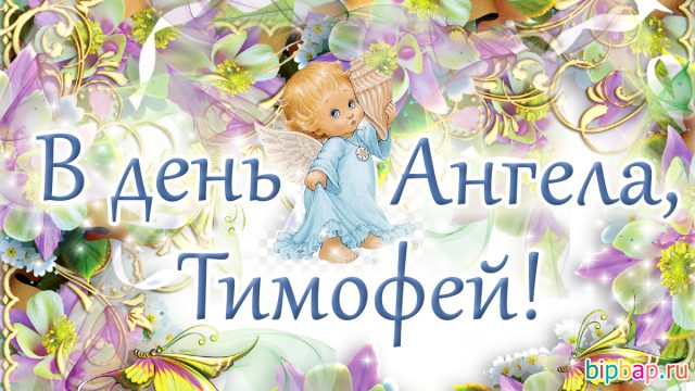 Именины тимофея картинки