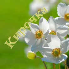 Картинки Именины Киры (13 фото)