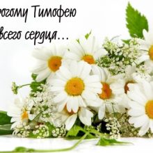 Картинки Именины Тимофея (14 фото)