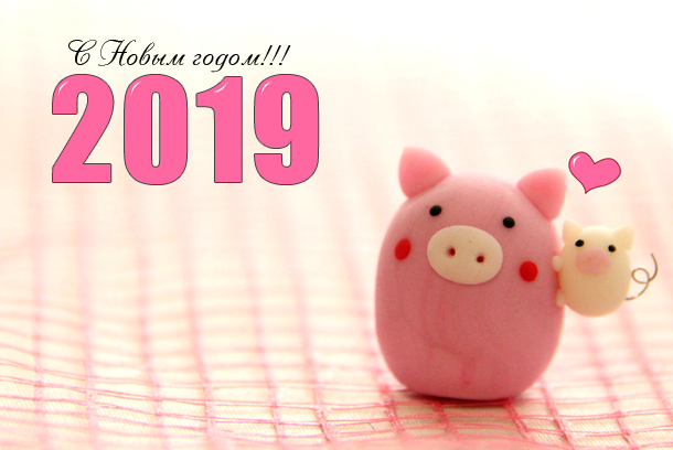 Картинки с Новым годом 2019 Свиньи (кабана): яркие открытки с прикольными поздравлениями 