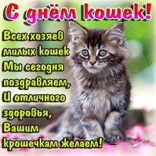 Красивые картинки с Днем кошек 2019 (32 фото)