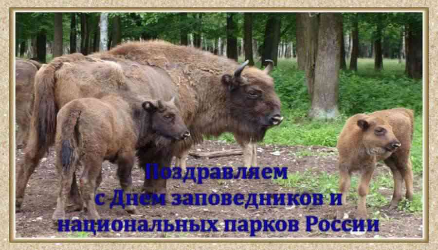 Открытки с днем заповедника, прикольные смыслом про
