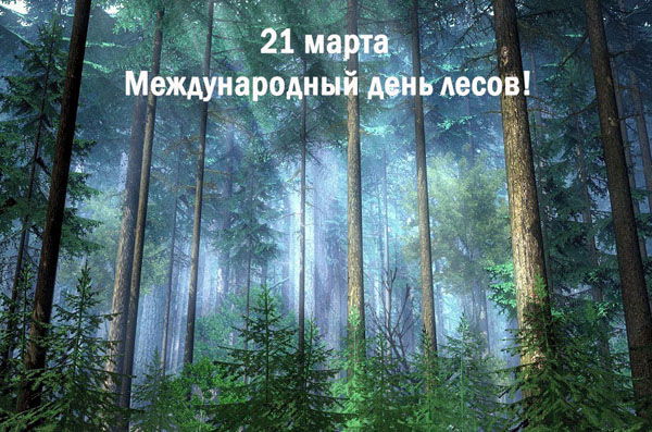 Картинки по запросу всемирный день лесов