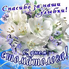 Смешные картинки с Международным днем зубного врача 2019 (25 фото)