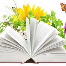 Красивые картинки с Днем экологических знаний 2019 (10 фото)
